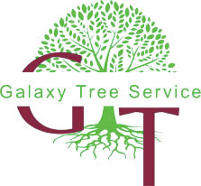 galaxy tree service logo