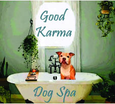 good karma dog spa logo