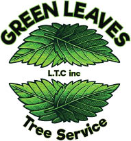 green leaves l.t.c inc logo