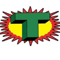 green t windows & garage logo