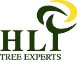 hli tree experts logo