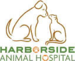 harborside animal hospital logo