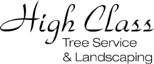 high class tree service logo
