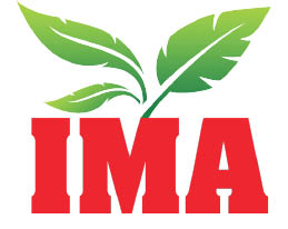 i.m.a tree & palm logo