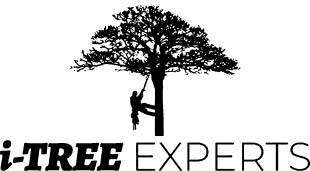 i-tree experts logo