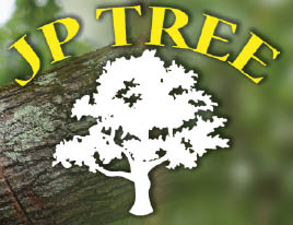 jp tree logo