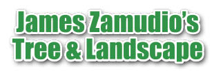 james zamudio's tree service logo