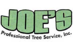 joe's professional tree service logo