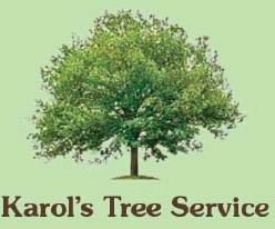karol's tree service logo