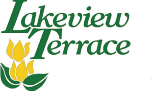 lakeview terrace, dsi management logo