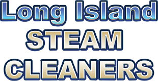 long island steam cleaners logo