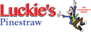 luckie's pinestraw logo