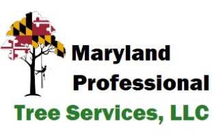 maryland professional tree services logo