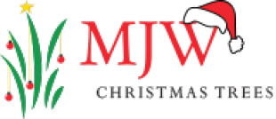 mjw services logo