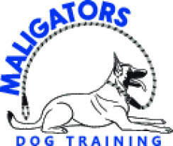 maligators dog training logo