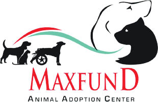 maxfund animal adoption center logo
