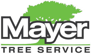 mayer tree service logo