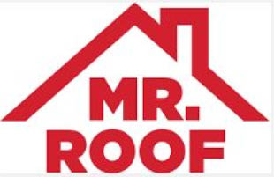 mr. roof - detroit logo