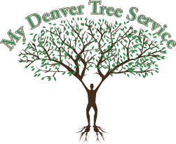 my denver tree service logo