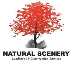 natural scenery logo