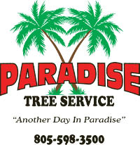 paradise tree service logo