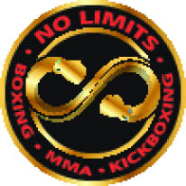 no limits training facility logo