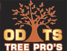 odts tree pros logo