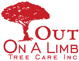 out on  a limb tree service logo