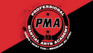 professional martial arts derry logo