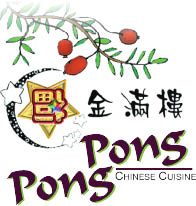 pong pong wb logo