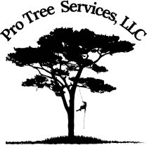 pro tree services llc logo