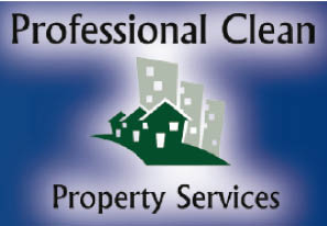 professional clean carpet and vents logo