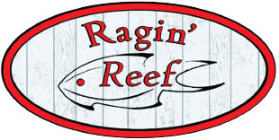 ragin reef logo