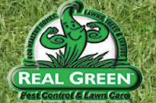 real green logo