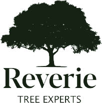 reverie tree experts, inc. logo