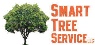 smart tree service llc logo
