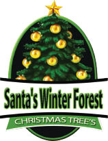 pete's & king's christmas trees *e logo