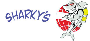 sharky's scuba & swim logo