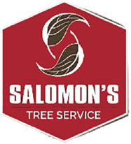 salomon's tree service llc logo