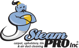 steam pro and ducts logo