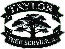 taylor tree service logo