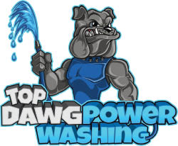 top dawg power washing logo