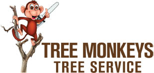 tree monkeys tree service logo