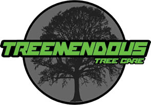 treemendous tree care logo