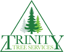 trinity tree services logo