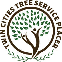 twin cities tree service placer logo