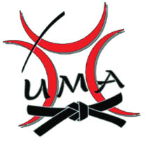 ultimate martial arts hudson logo