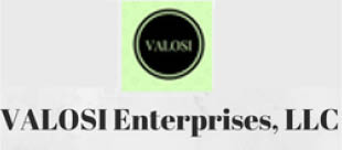 valosi enterprises, llc logo