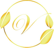 velour restaurant logo