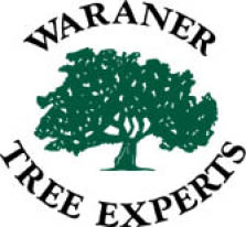 waraner tree experts logo